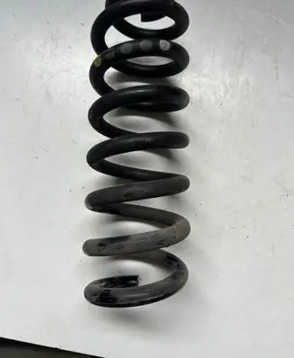 Rear coil spring