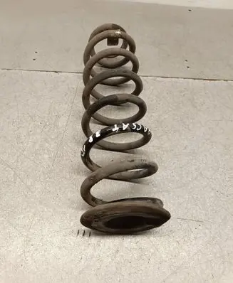 Rear coil spring
