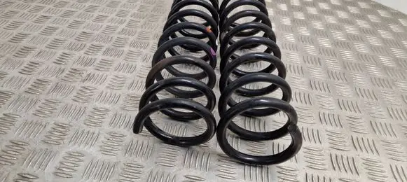 Ford Kuga II Rear coil spring