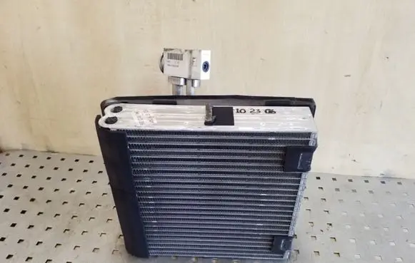 Nissan Pathfinder R51 Air conditioning (A/C) radiator (interior) 4NAH19849AA