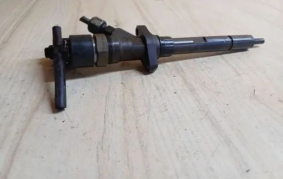 Citroen C5 Fuel injector 0445110036
