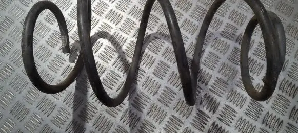 Front coil spring