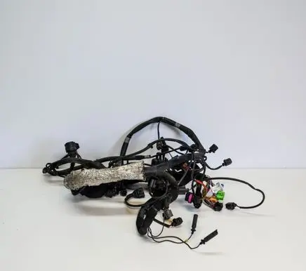 Audi A8 S8 D3 4E Engine installation wiring loom 4E2971713CG