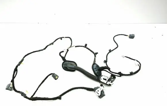 Ford Mustang Mach-E Rear door wiring loom PJ8T14632RBA