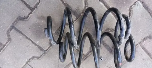 Renault Megane II Rear coil spring