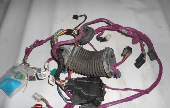 Front door wiring loom