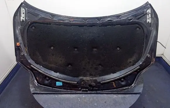 Volkswagen Golf Plus Engine bonnet/hood 