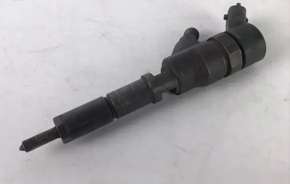 Peugeot 406 Fuel injector 9640088780