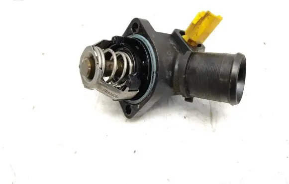 Thermostat/thermostat housing