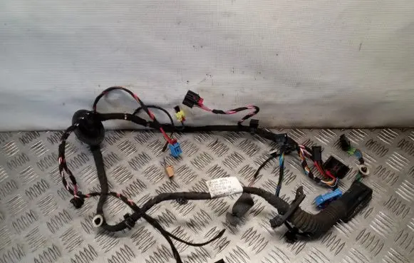 Skoda Superb B8 (3V) Front door wiring loom 3V2971120AG