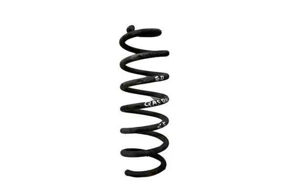 Rear coil spring