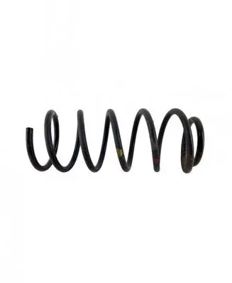 Rear coil spring