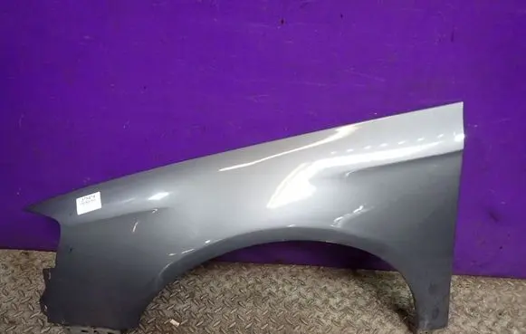 Volkswagen PASSAT B6 Fender 