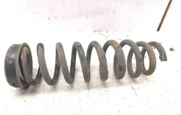 Rear coil spring