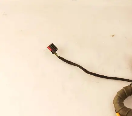 Front door wiring loom