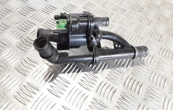 Thermostat/thermostat housing