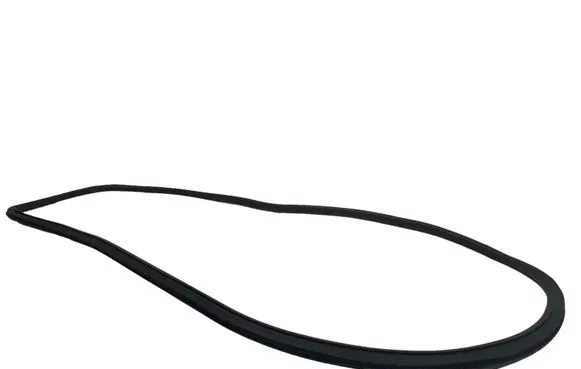 Citroen C3 Aircross Front door rubber seal
