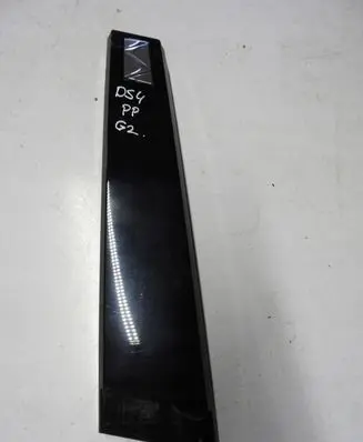 Citroen DS4 Front door trim (molding) 20EA22