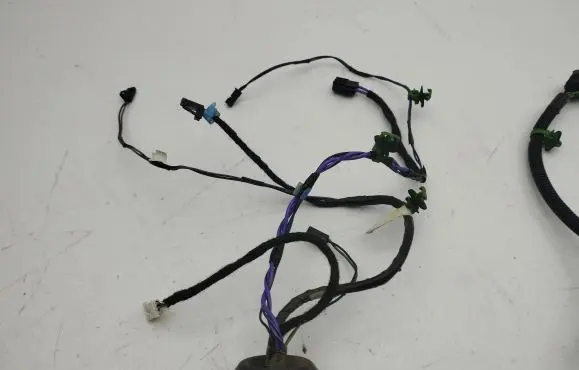 Tesla Model S Rear door wiring loom 100442500M
