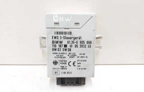 BMW 3 E46 Immobilizer control unit/module 61356905666 6905666 05393245