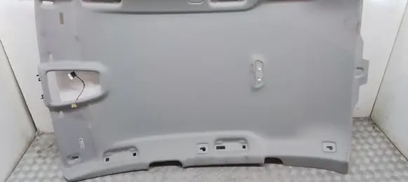 Audi A4 S4 B9 Headlining 8W9867506L