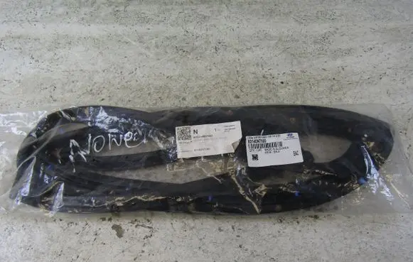 Hyundai Tucson IV NX4 Rubber seal front door (on door) 83140N7000