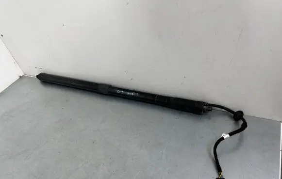 Ford C-MAX II Tailgate/trunk strut/damper AM51R404C84AG