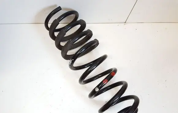Ford Transit - Tourneo Connect Rear coil spring DV615B669JD 1842897