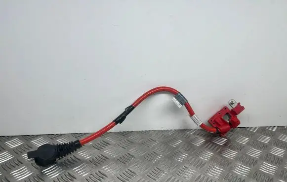 BMW 7 F01 F02 F03 F04 Positive cable (battery) 9217033 921703302