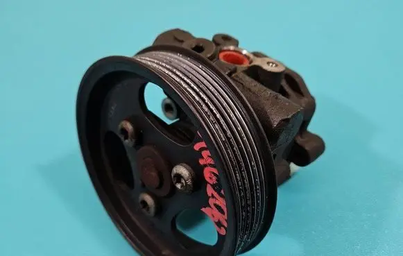 Electric power steering pump