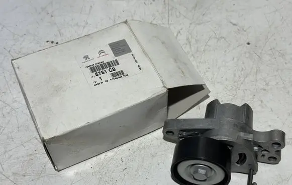 Peugeot 206 Alternator belt tensioner 9652046680 5751C8