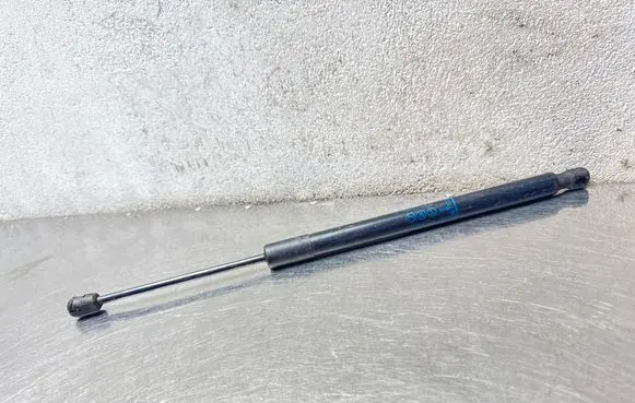 Opel Meriva B Tailgate/trunk strut/damper 13338367 0306280700N 315005777