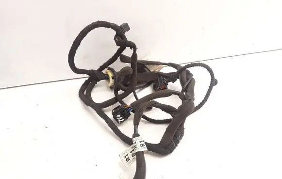 Front door wiring loom