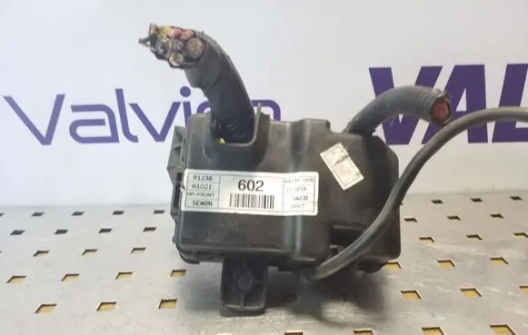 Hyundai Terracan Fuse module