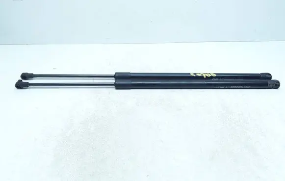 Opel Antara Tailgate/trunk strut/damper 96661403
