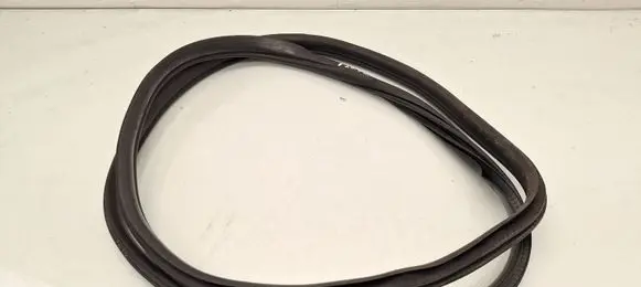 BMW X4 F26 Front door rubber seal 7380921