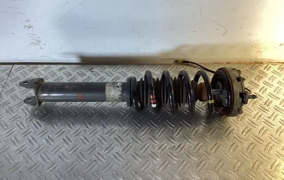 Porsche 911 997 Rear shock absorber with coil spring 99733316100
