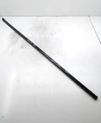Citroen DS5 Front door glass trim molding
