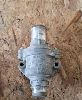 Thermostat/thermostat housing