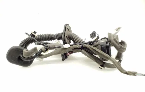 Renault Megane III Front door wiring loom 241250055R