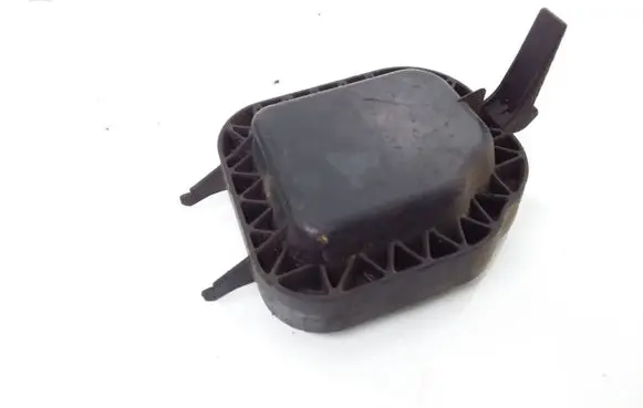 Ford Focus Headlight/headlamp dust cover 304311144R2