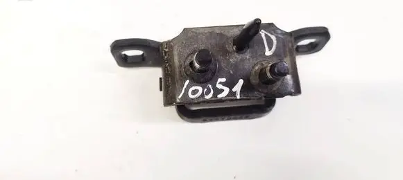 Tailgate/trunk/boot hinge