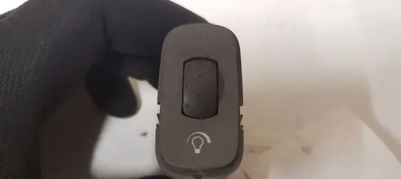 Panel lighting control switch