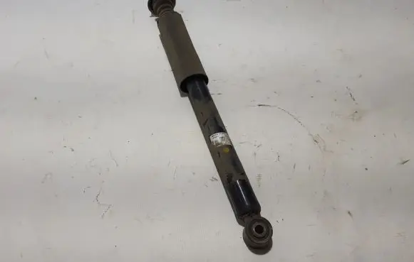 Dacia Spring Rear shock absorber/damper 562100090R