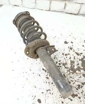 Volkswagen PASSAT B7 Rear shock absorber with coil spring 