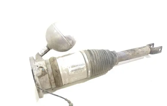 Volkswagen Phaeton Rear shock absorber/damper 3D0616002J