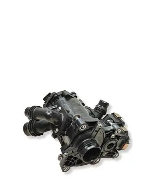 BMW 1 F70 Water pump 9896577