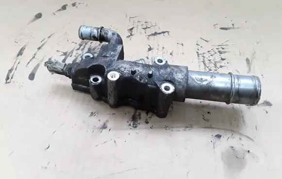 Thermostat/thermostat housing