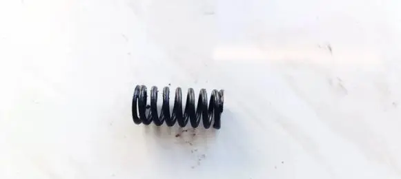 Peugeot 407 Valve spring 