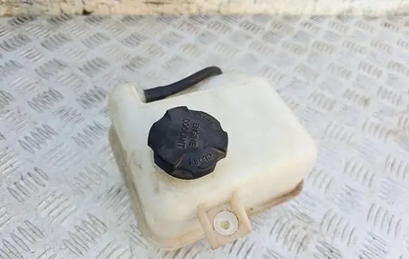 KIA Carens III Coolant expansion tank/reservoir 254303W000